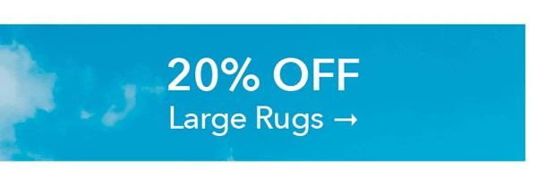 20% OFF LARGE RUGS